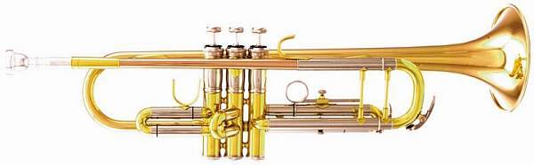 Extreme  JBTR430L TROMBA IN SIB RAME OTTONE NIKEL + CUSTODIA