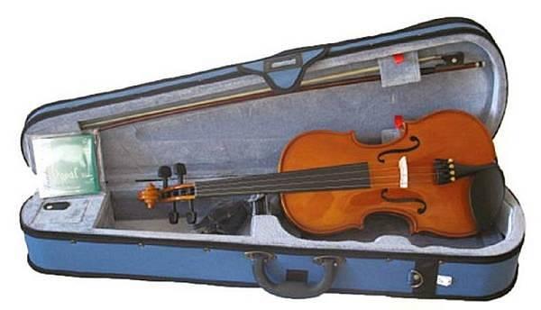 Domus Musica Rialto - violino 4/4 in legno massello - con astuccio e accessori