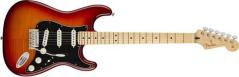 Fender Player Stratocaster Plus Top MN Aged Cherry Burst