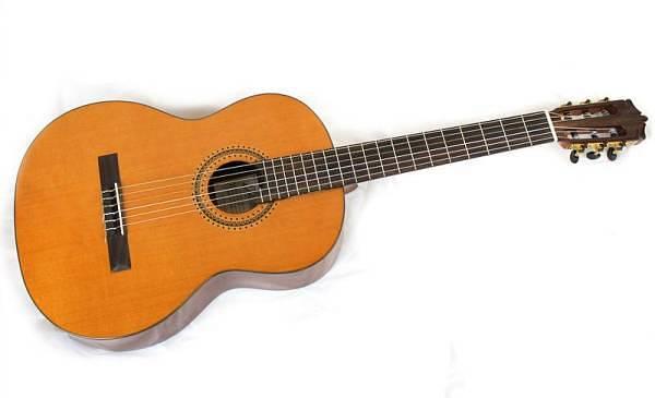 Eko Nuova Giuliani - chitarra classica in cedro massello - modello unico