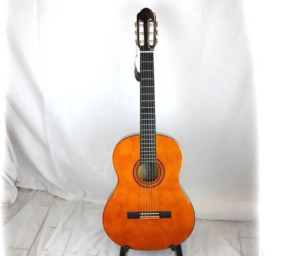 Eko CS-15 - chitarra classica - modello speciale