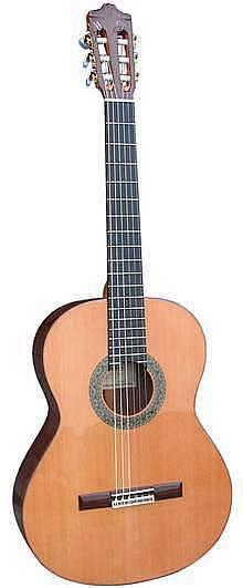 Alhambra 5P - chitarra classica con palissandro indiano