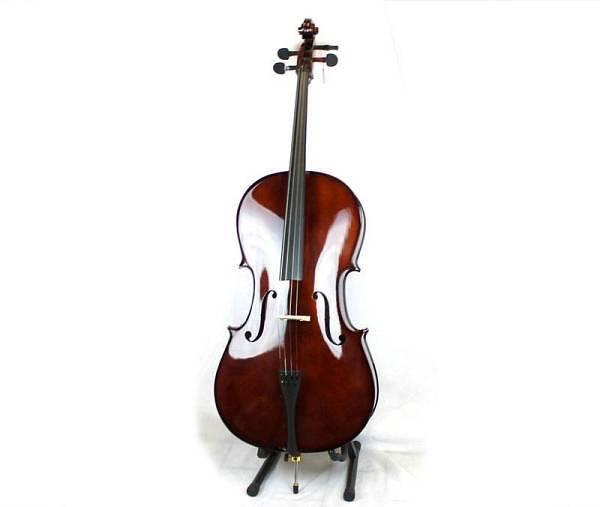 DAM VIOLONCELLO 4/4 TOP SOLID