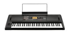 KORG EK-50 L - tastiera arranger 61 tasti