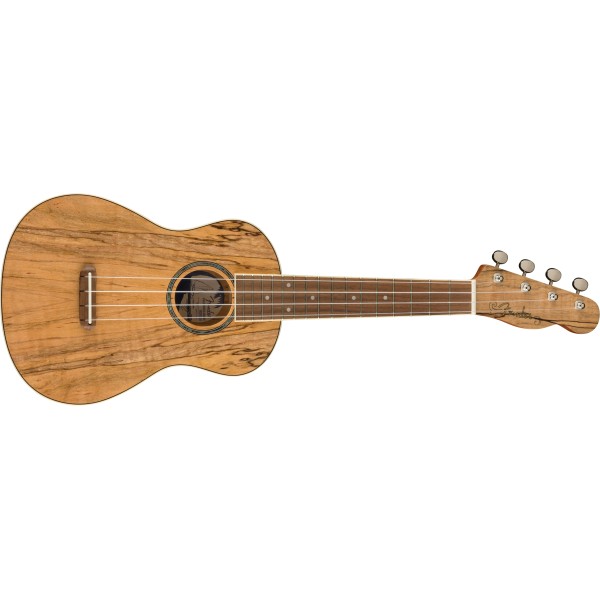 Fender Zuma Exotic Concert Ukulele, Walnut Fingerboard, Spalted Maple