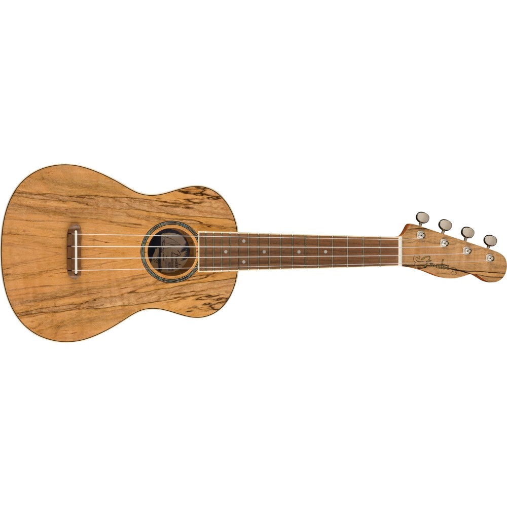 Fender Zuma Exotic Concert Ukulele, Walnut Fingerboard, Spalted Maple