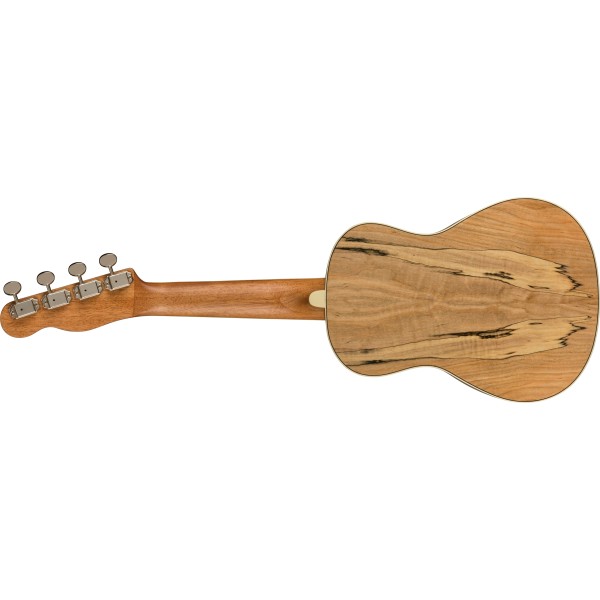 Fender Zuma Exotic Concert Ukulele, Walnut Fingerboard, Spalted Maple