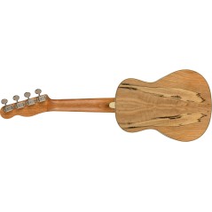 Fender Zuma Exotic Concert Ukulele, Walnut Fingerboard, Spalted Maple