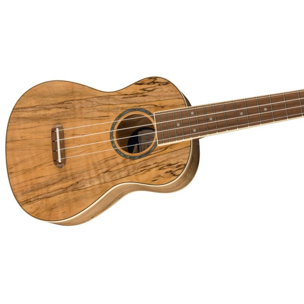 Fender Zuma Exotic Concert Ukulele, Walnut Fingerboard, Spalted Maple