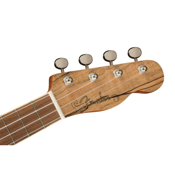 Fender Zuma Exotic Concert Ukulele, Walnut Fingerboard, Spalted Maple