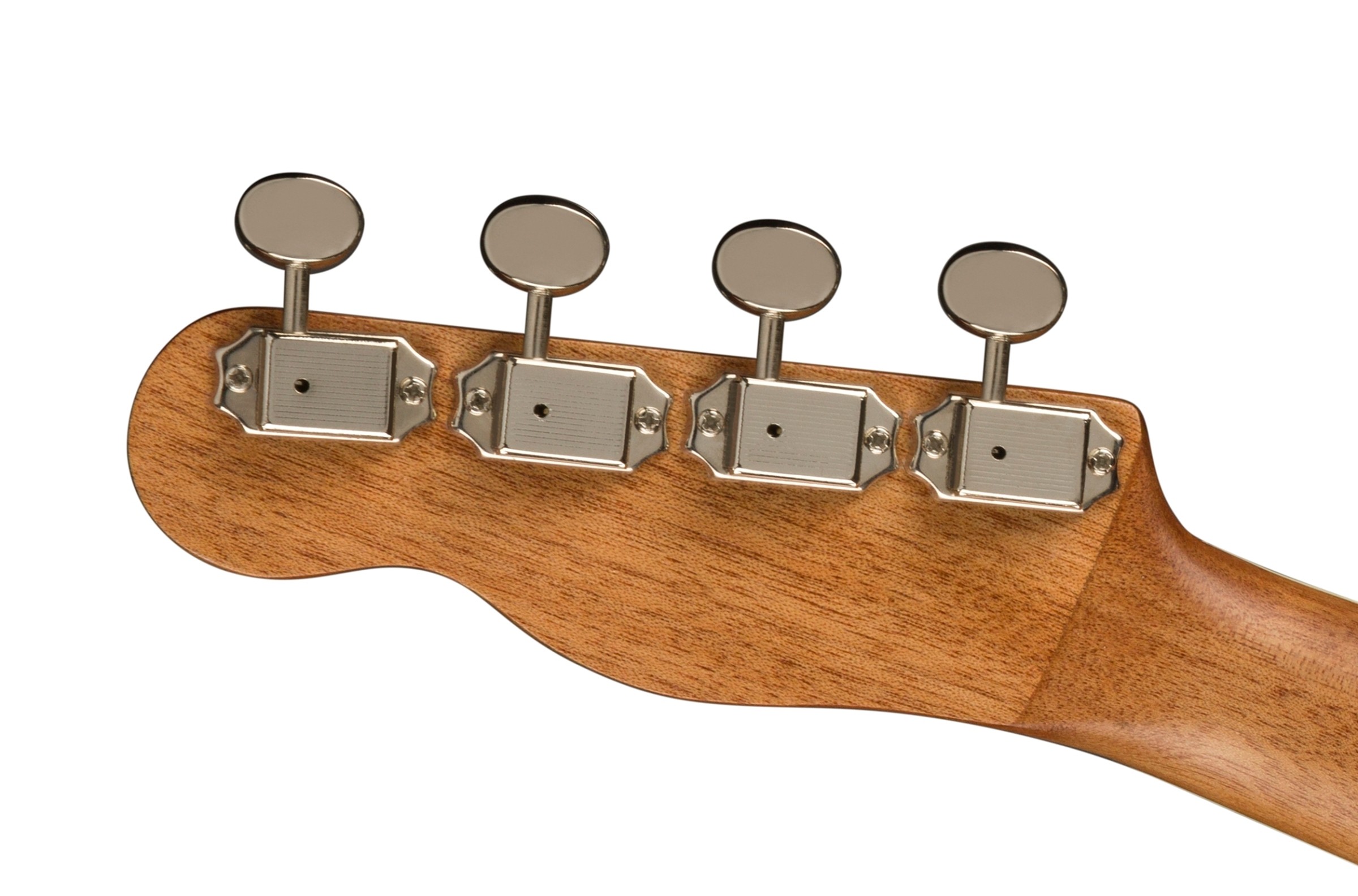 Fender Zuma Exotic Concert Ukulele, Walnut Fingerboard, Spalted Maple