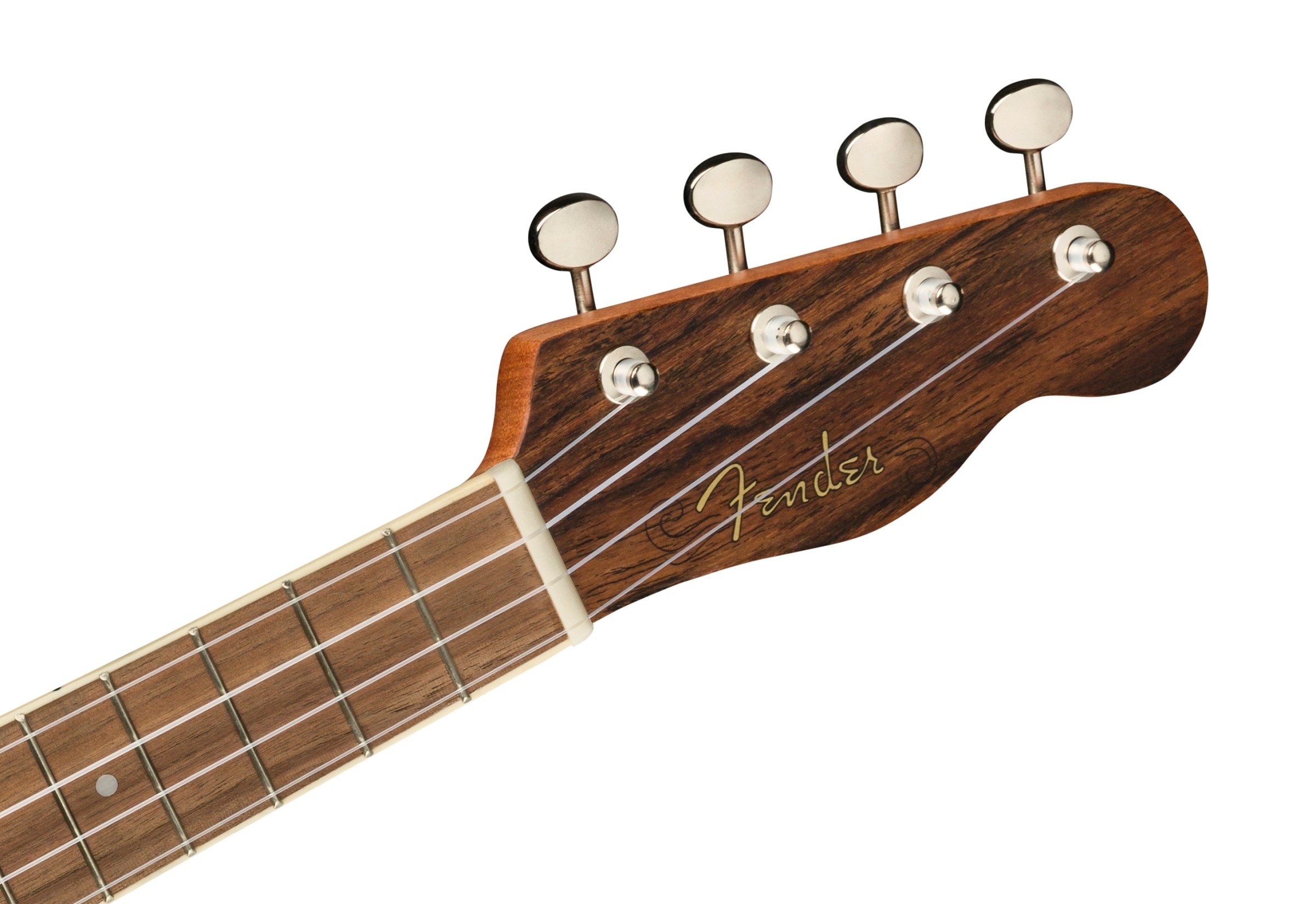 Fender Zuma Exotic Concert Ukulele, Walnut Fingerboard, Bocote