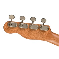 Fender Zuma Exotic Concert Ukulele, Walnut Fingerboard, Bocote