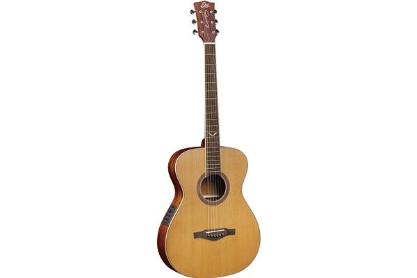 Eko Guitars Evo A350e Baritone