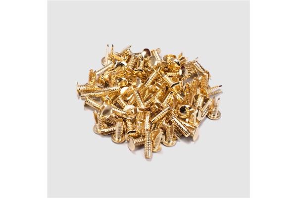 Marshall PACK00017 - x100 Gold Rivets