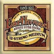 Ernie Ball 2012 - Earthwood 12-String Medium - muta per chitarra 12 corde