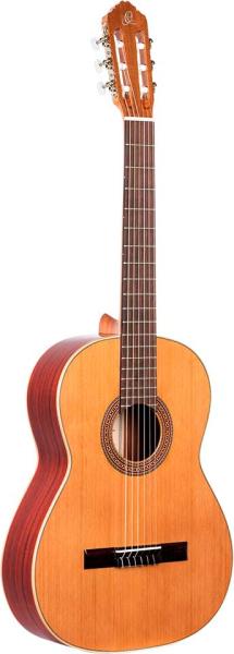Ortega R200