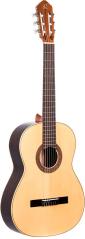 Ortega R210