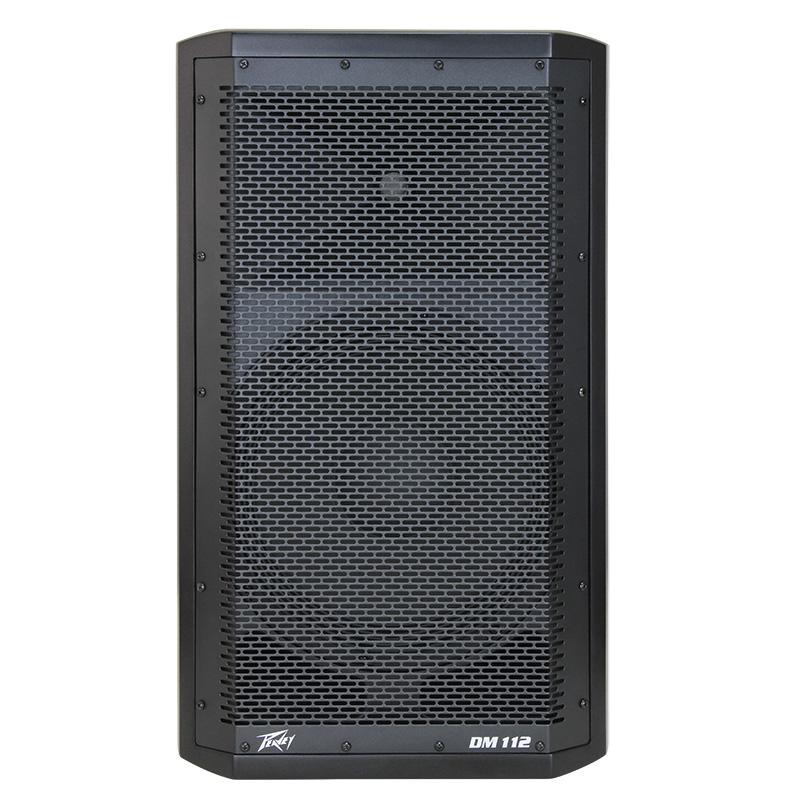 Peavey DM⢠112
