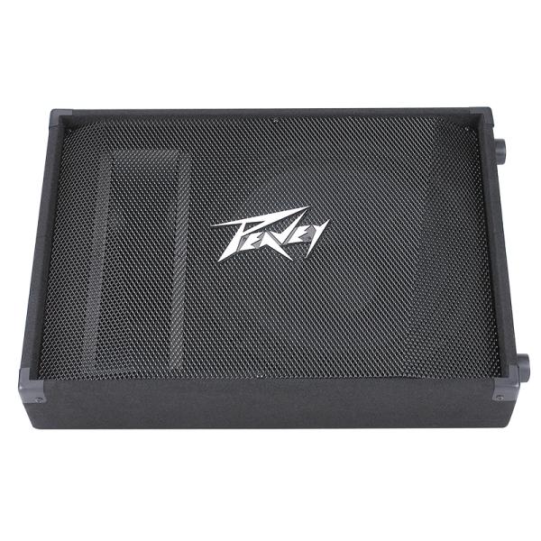 Peavey PVÂ® 15M  FLOOR MONITOR