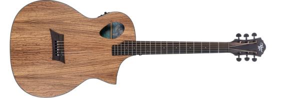 Michael Kelly FORTE PORT ZEBRA - Chitarra acustica elettrificata - Port Tech - Zebrano