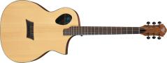 Michael Kelly FORTE PORT - Chitarra acustica elettrificata - Port Tech - Natural