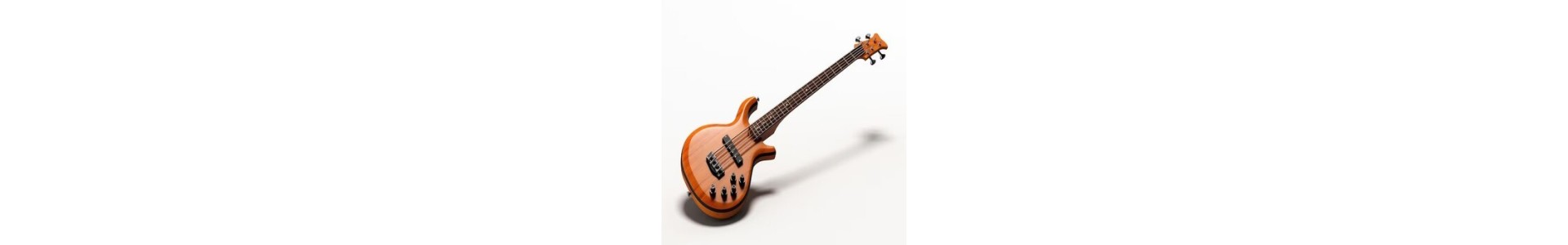 Bassi