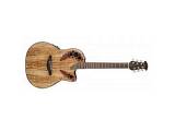 Ovation CE 44 P-SM Celebrity Elite Plus Mid Cutaway Natural Spalted Maple